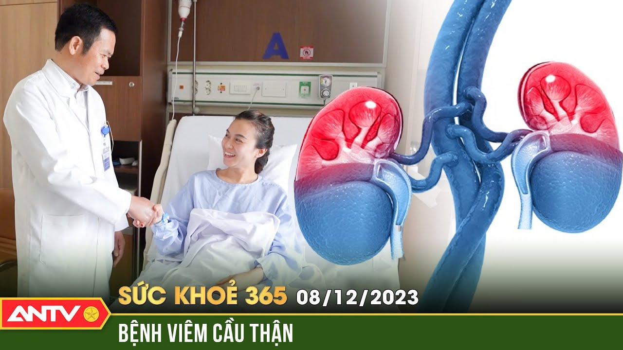 Viêm cầu thận - Triệu chứng và cách điều trị mà người bệnh cần biết | Sức khỏe 365 | ANTV