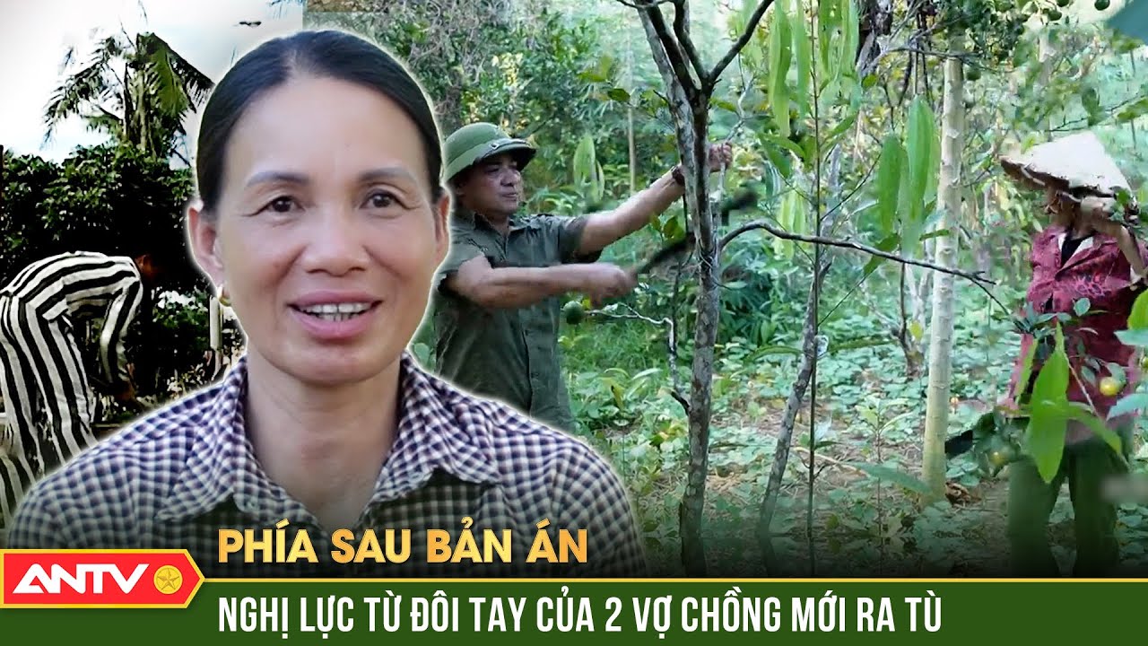 Cận cảnh trang trại bát ngát của đôi vợ chồng từng lầm đường lạc lối | Phía sau bản án mới nhất 2023