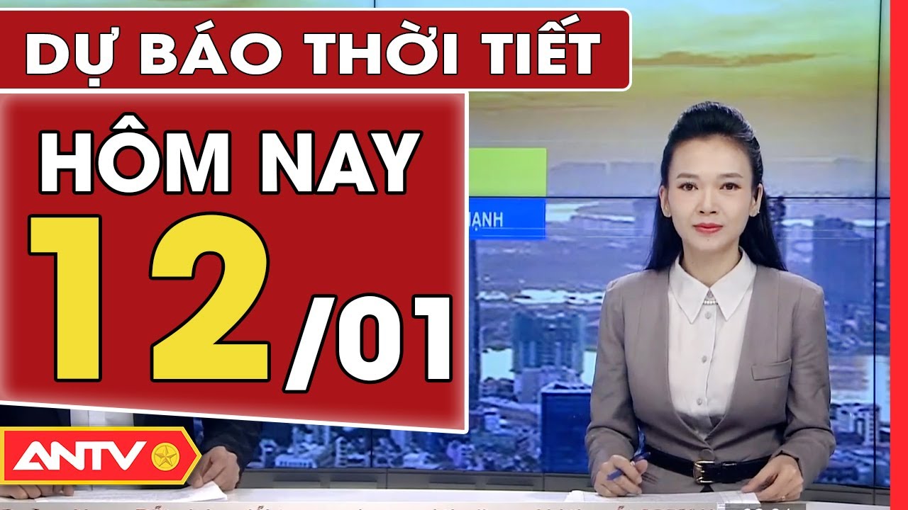 Dự báo thời tiết ngày 12/1: Mưa rét tiếp tục bao trùm Bắc Bộ, Nam Bộ đón nắng | ANTV