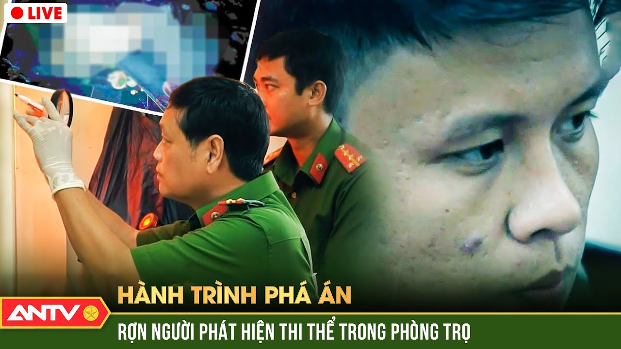 Hành trình phá án hay nhất ngày 19/2/2024 | ANTV