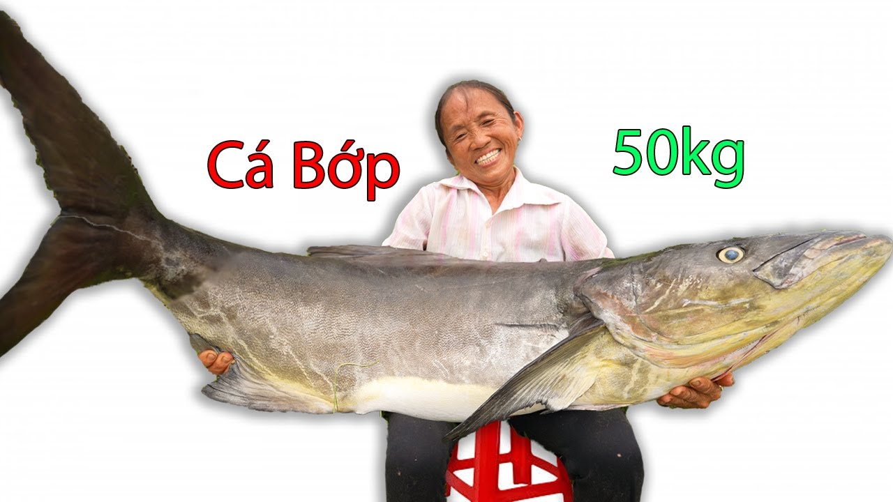 Bà Tân Vlog - Cá Bớp Khổng Lồ 50kg Nướng Muối Siêu Cay Đãi Cả Làng