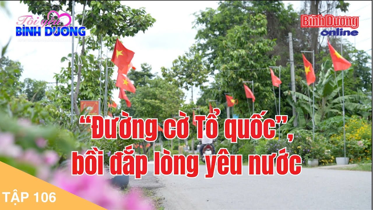 Tôi yêu Bình Dương: “Đường cờ Tổ quốc”, bồi đắp lòng yêu nước