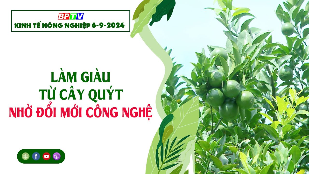 [🔴] Kinh tế nông nghiệp 6-9-2024|Thông tin hữu ích ||BPTV