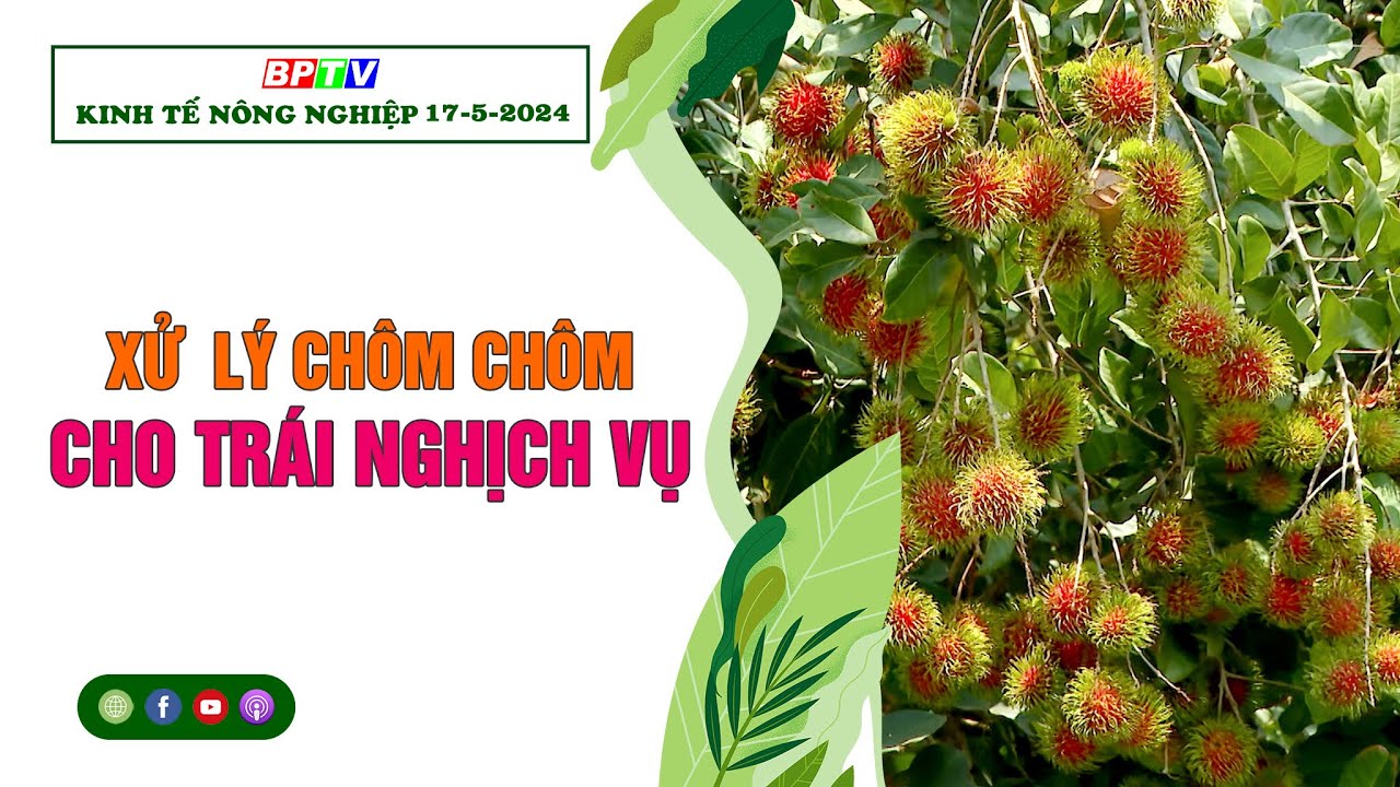 🍀 Kinh tế nông nghiệp 17-5-2024 | Thông tin hữu ích | BPTV