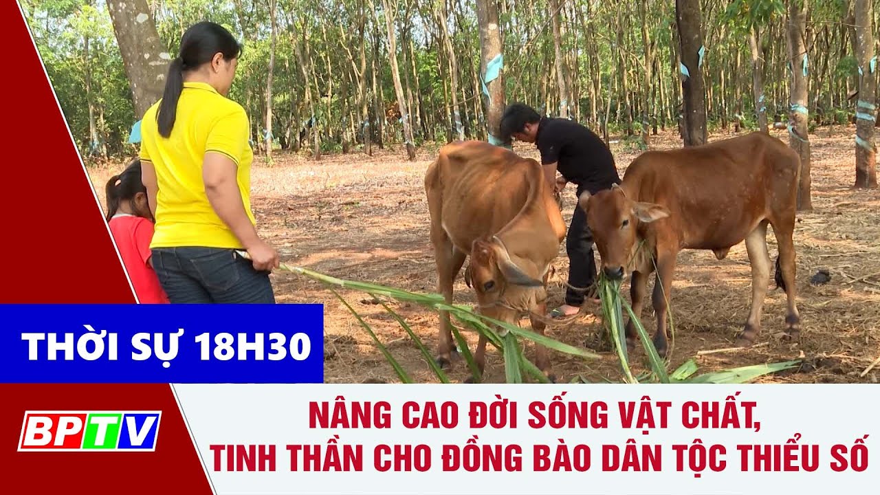 🔴 [Trực tiếp] - Thời sự Bình Phước tối 18-2-2024