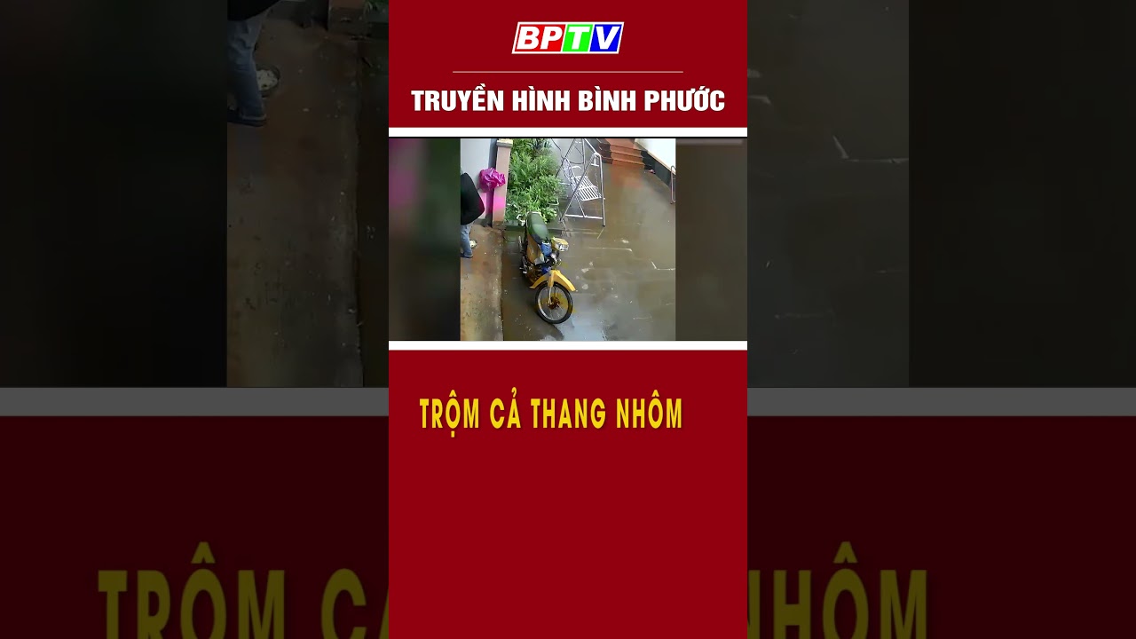 Đến cái thang nhôm cũng trộm #summerofshorts #mcvshorts  | BPTV