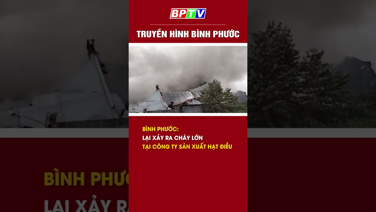 Bình Phước: Cháy lớn tại công ty sản xuất hạt điều  #shorts  | BPTV