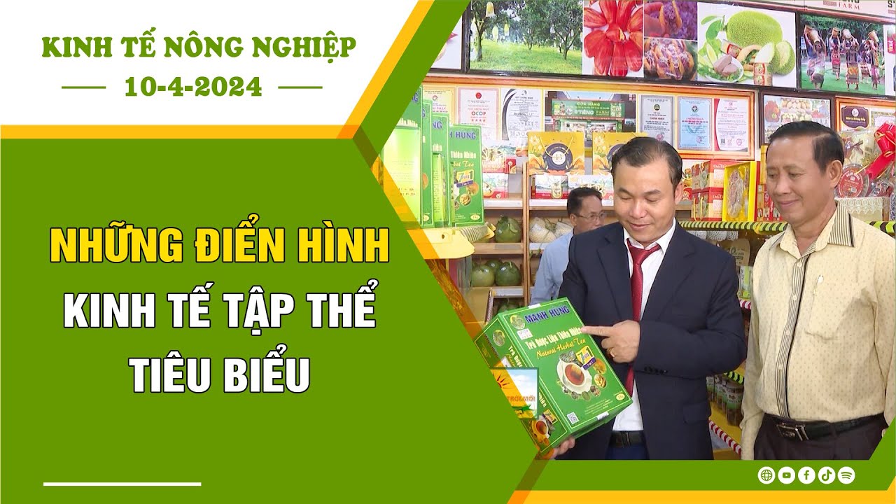 🍀Kinh tế nông nghiệp 10-4-2024 | Những điển hình kinh tế tập thể tiêu biểu