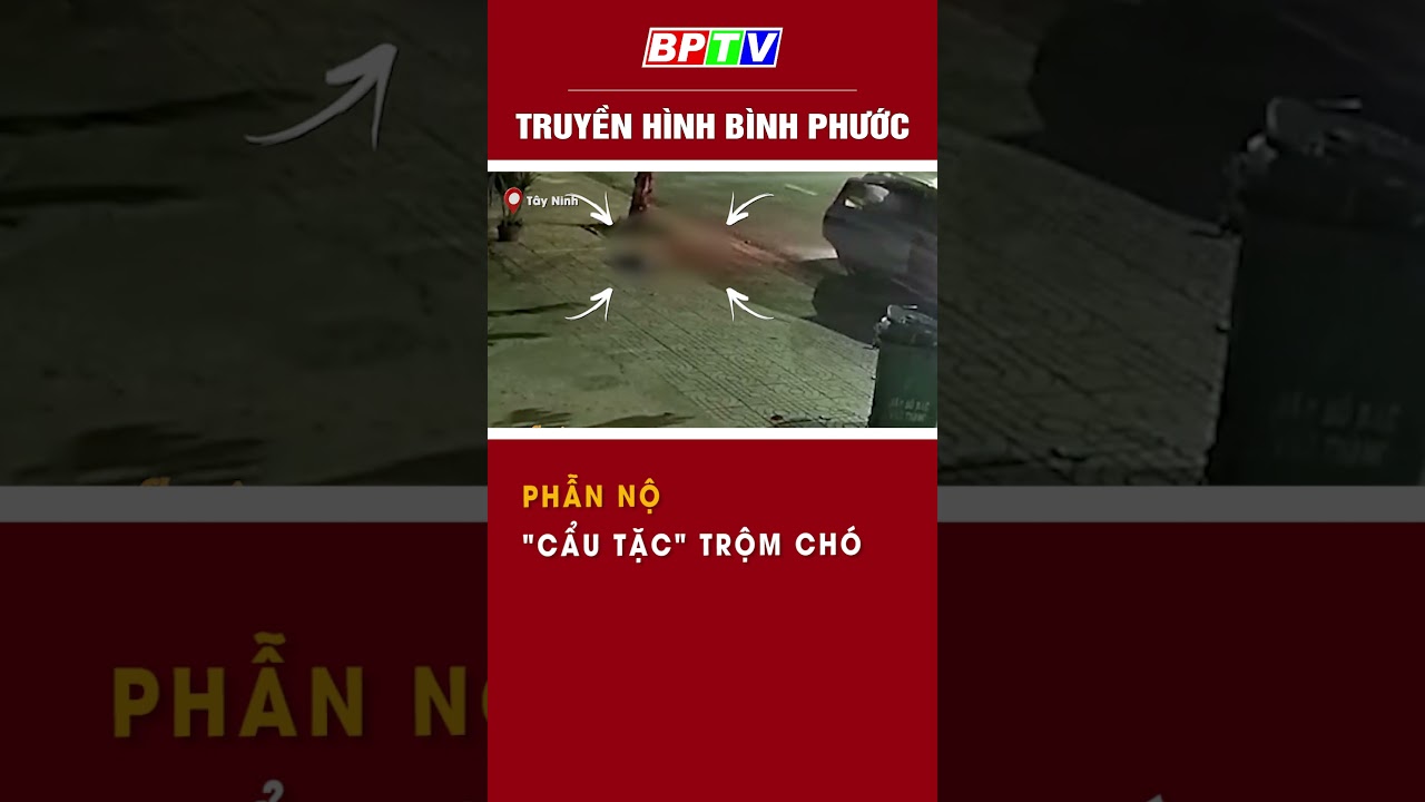 Phẫn nộ 'cẩu tặc' trộm chó  #shorts  | BPTV