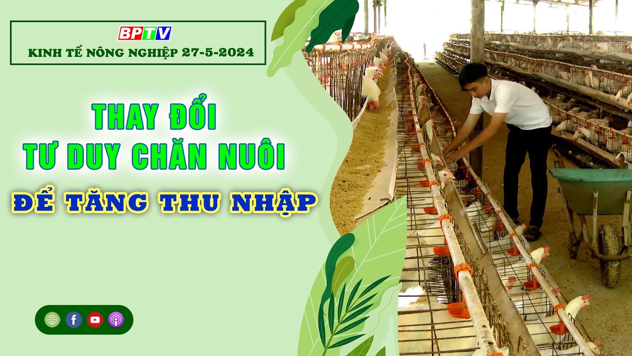 Kinh tế nông nghiệp 27-5-2024 |Thông tin hữu ích ||BPTV