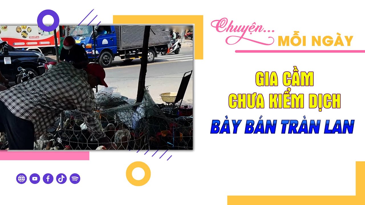 CHUYỆN MỖI NGÀY 17-4-2024 |Tin nóng cho bạn ||BPTV