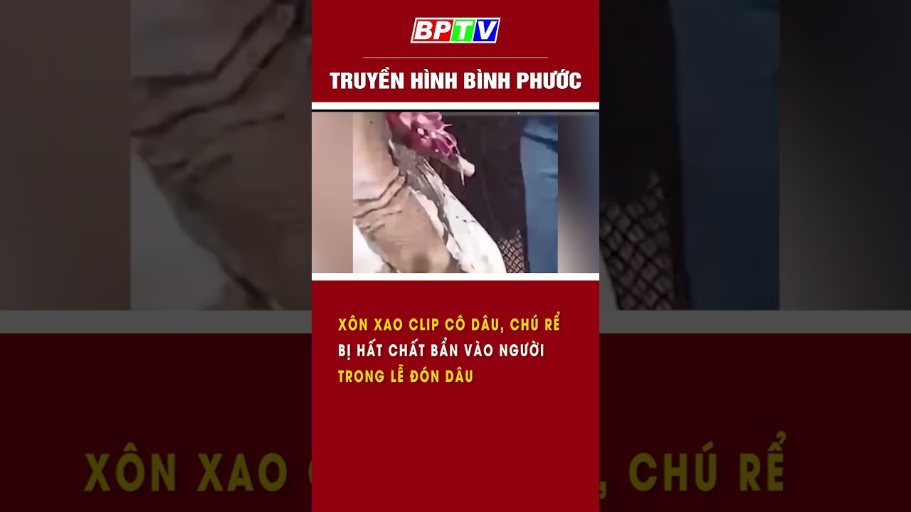 Xôn xao clip cô dâu, chú rể bị hất chất bẩn vào người trong lễ đón dâu #summerofshorts  | BPTV