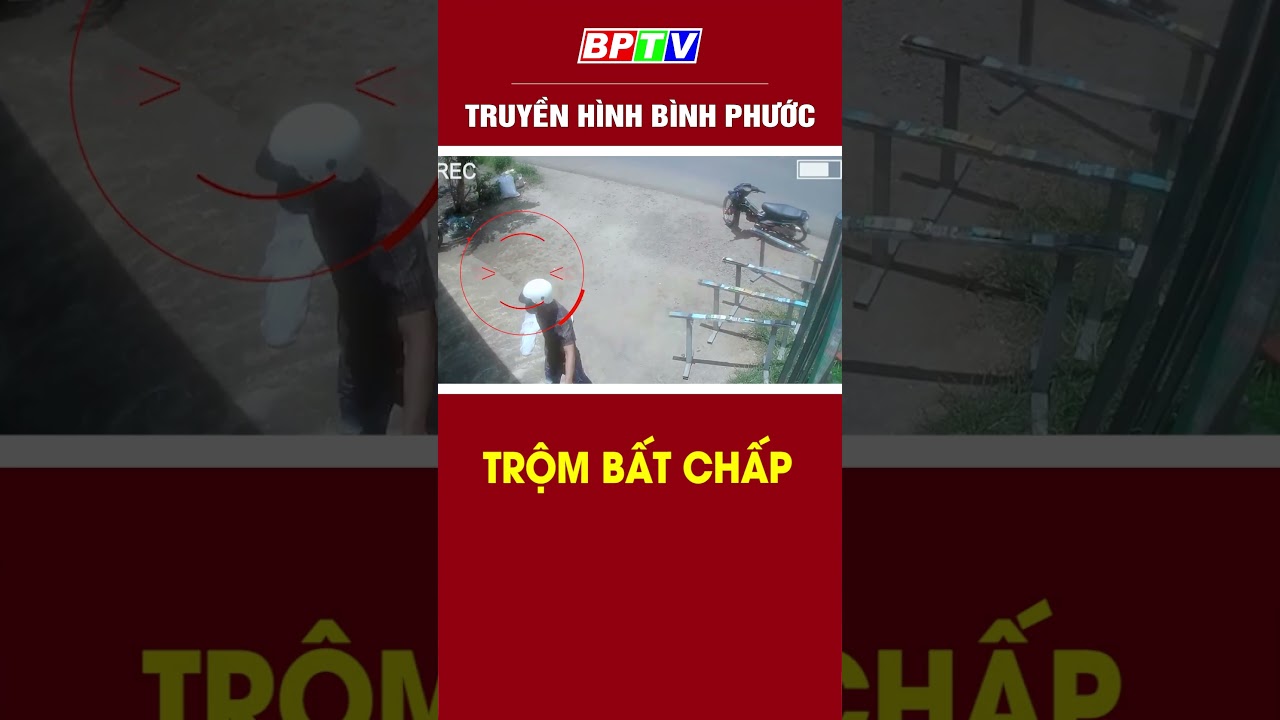 Trộm bất chấp #shorts  | BPTV