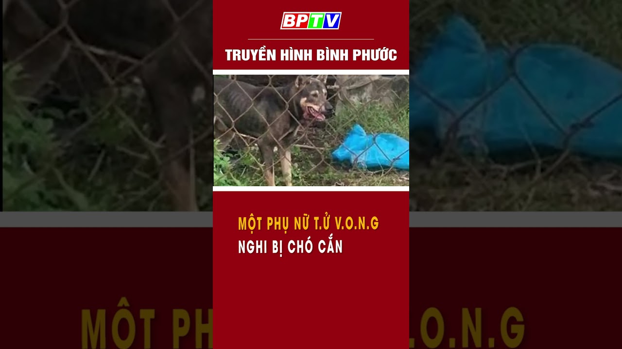 Một phụ nữ t.ử v.o.n.g nghi bị chó cắn  #shorts  | BPTV