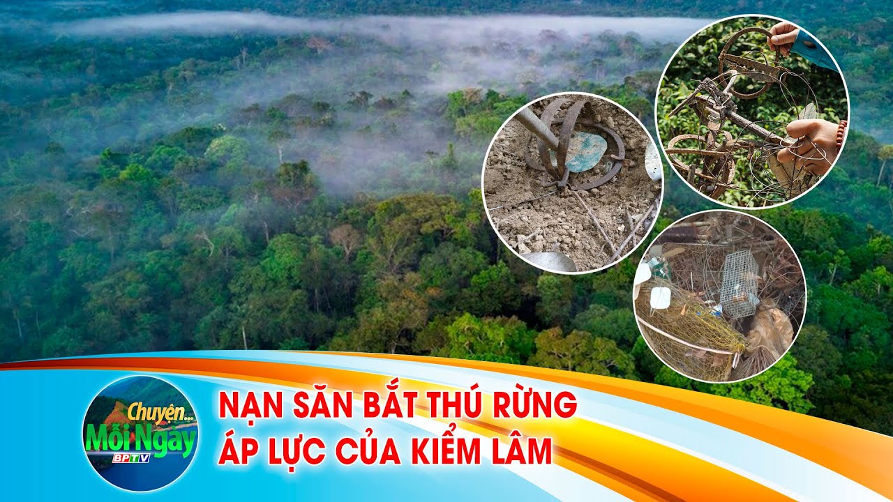 CHUYỆN MỖI NGÀY 15-5-2024 |Tin nóng cho bạn ||BPTV