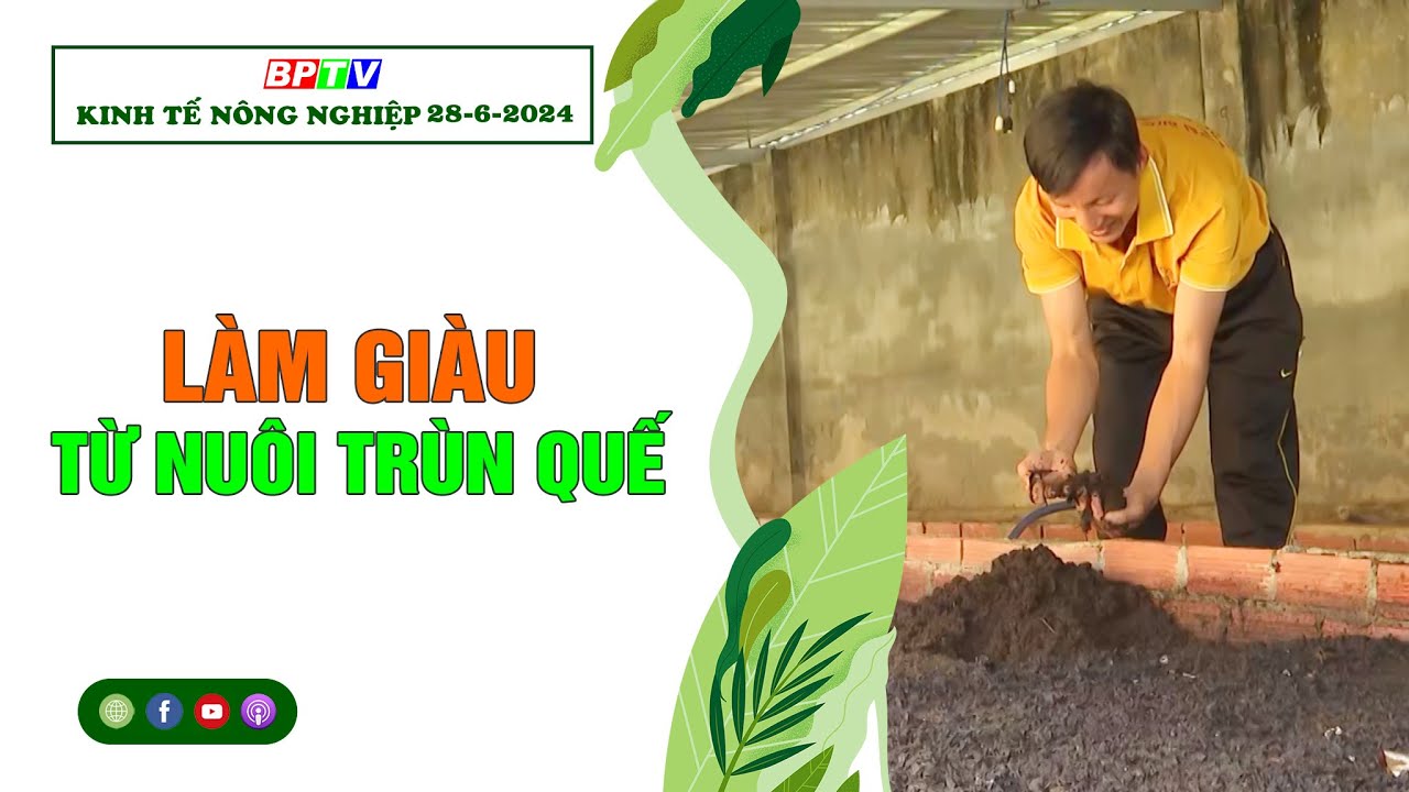 [🔴] Kinh tế nông nghiệp 28-6-2024 |Thông tin hữu ích ||BPTV