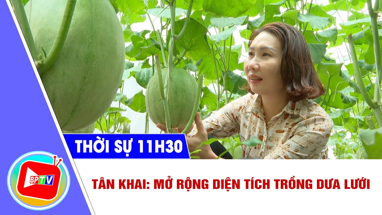 🔴[Trực tiếp] - Thời sự Bình Phước trưa 31-7-2024