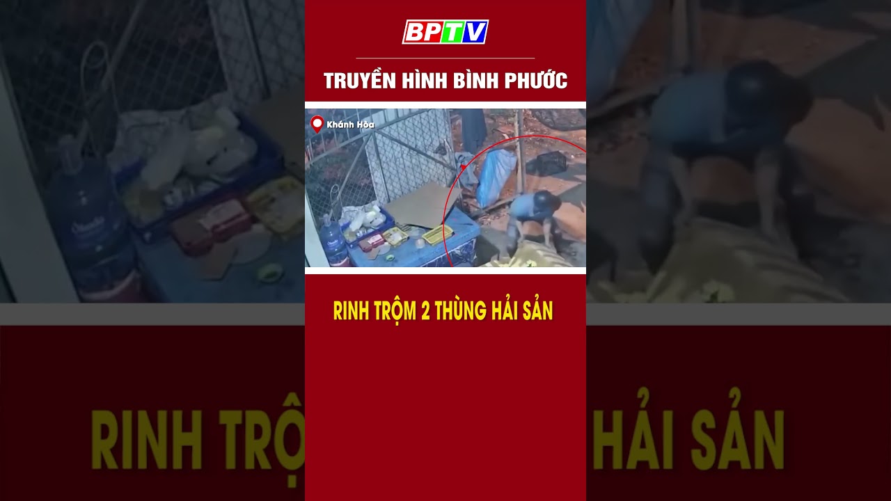 Rinh trộm 2 thùng hải sản #shorts  | BPTV