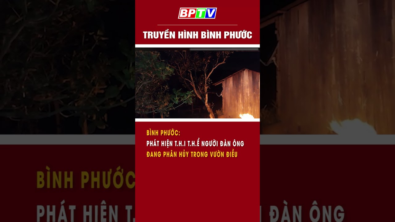 Bình Phước: Phát Hiện T.H.I T.H.Ể Người Đàn Ông Đang Phân Huỷ Trong Vườn Điều #shorts  | BPTV