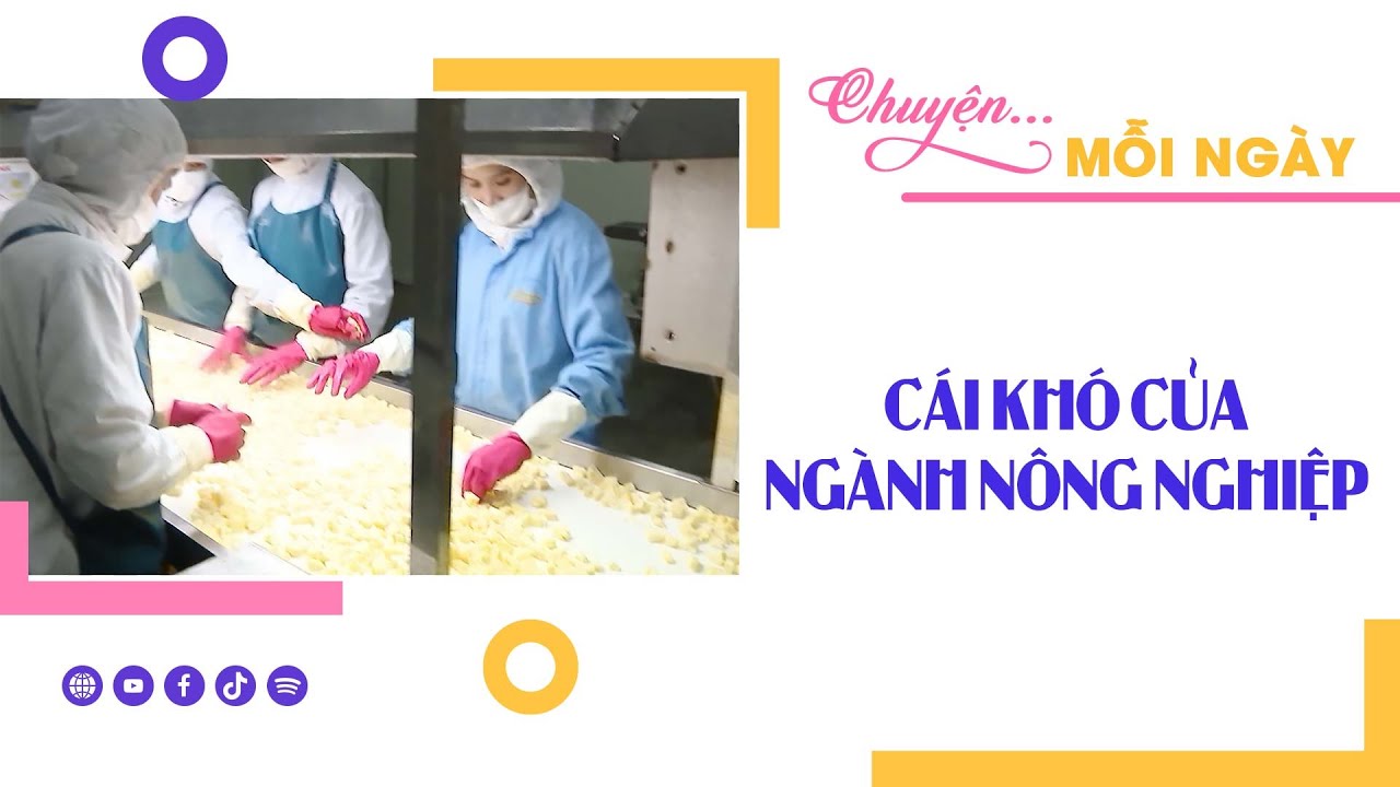 CHUYỆN MỖI NGÀY 18-12-2023 |Tin nóng cho bạn ||BPTV