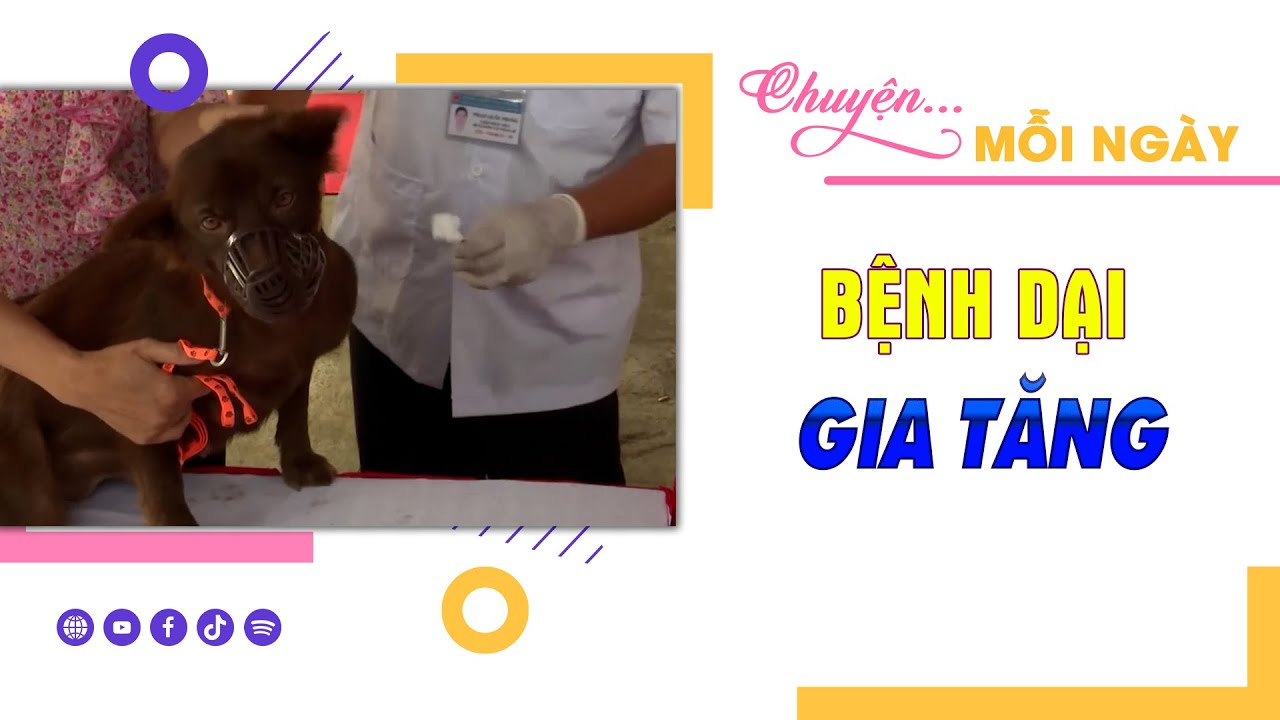 CHUYỆN MỖI NGÀY 18-3-2024 |Tin nóng cho bạn ||BPTV