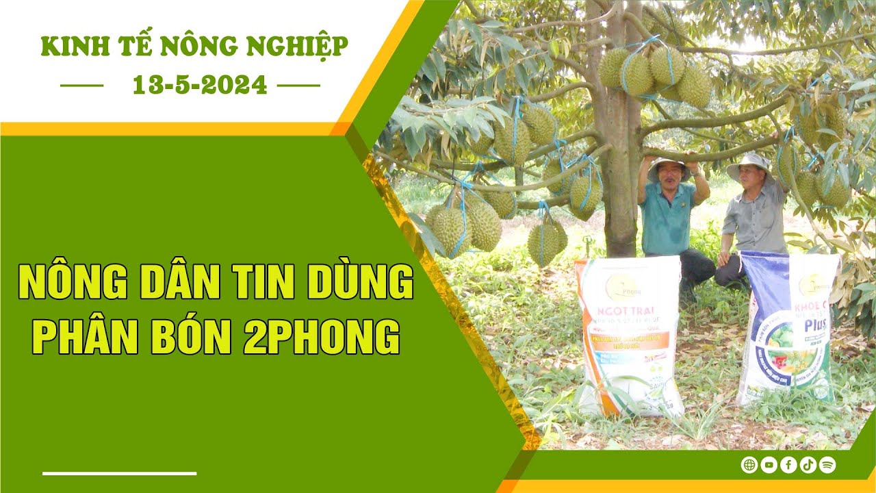 [🔴] Kinh tế nông nghiệp 13-5-2024 |Thông tin hữu ích ||BPTV