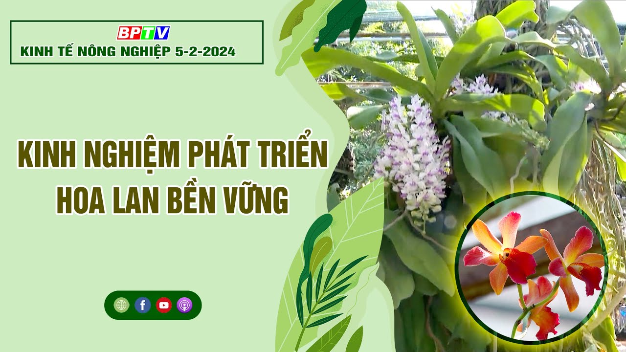 🔴 Kinh tế nông nghiệp 5-2-2024|Thông tin hữu ích ||BPTV