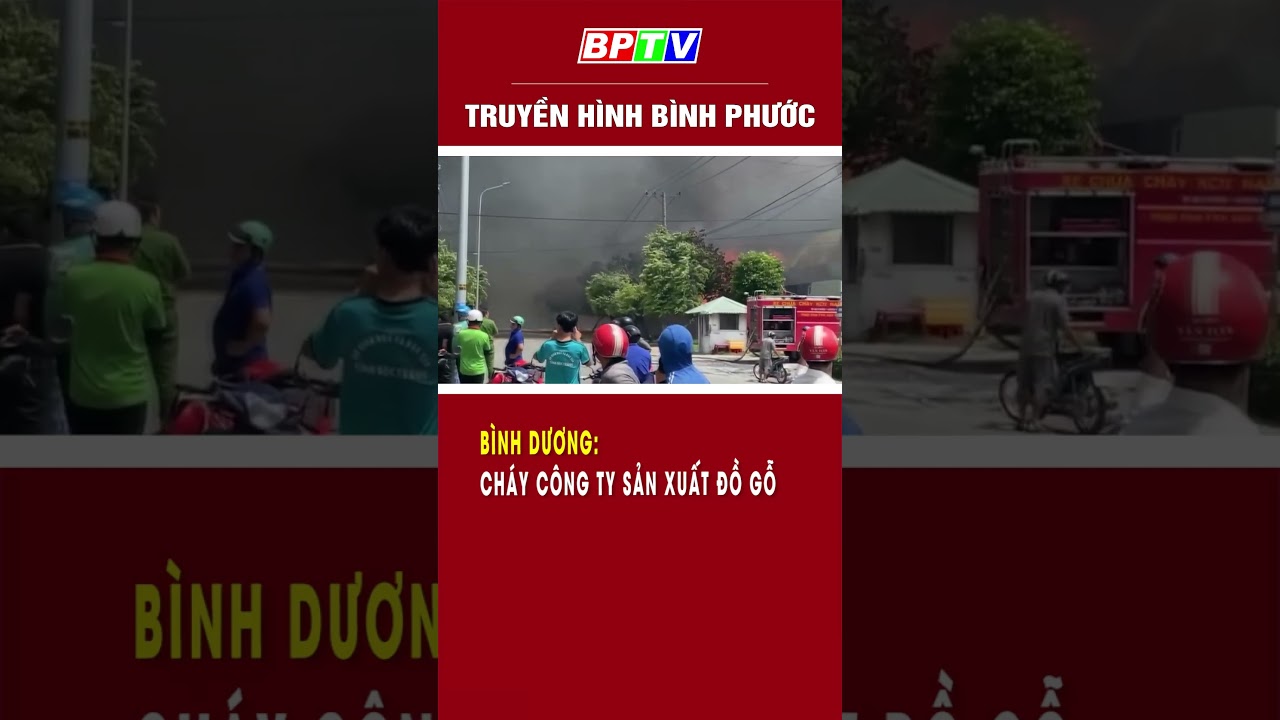 Bình Dương: Cháy công ty sản xuất đồ gỗ  #shorts  | BPTV