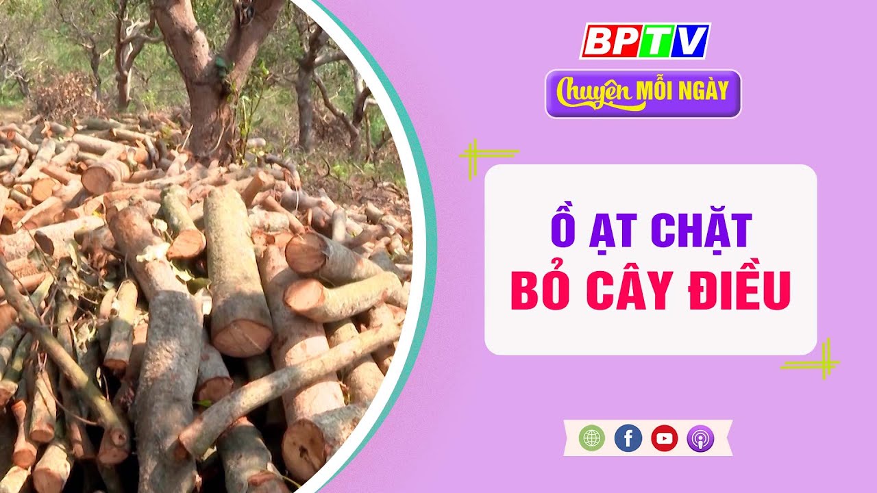 CHUYỆN MỖI NGÀY 16-5-2024 |Tin nóng cho bạn ||BPTV