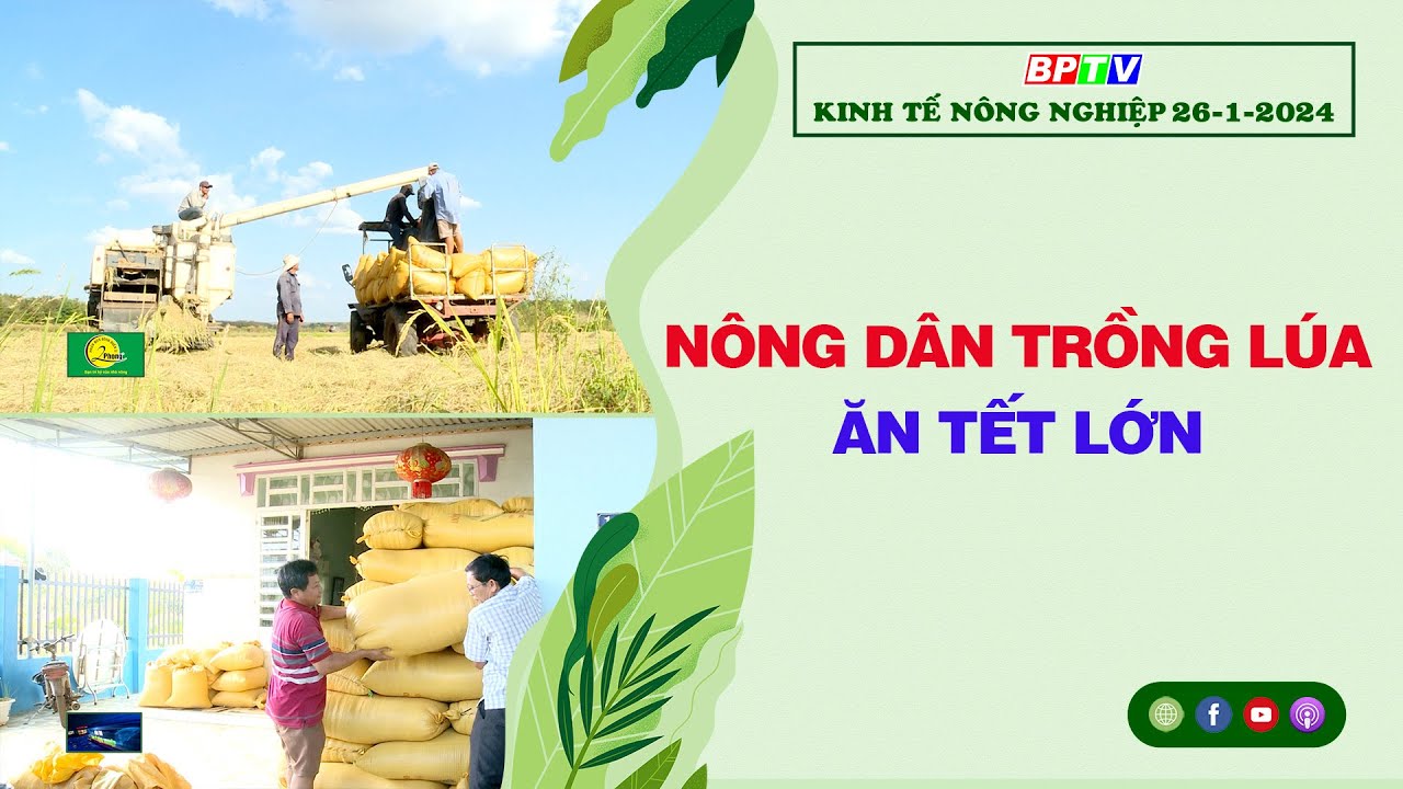 🔴 Kinh tế nông nghiệp 26-1-2024|Thông tin hữu ích ||BPTV