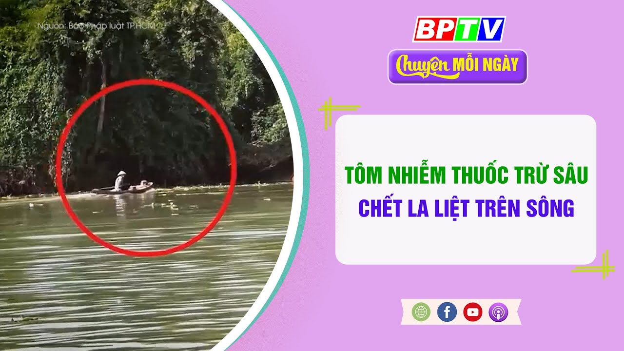 CHUYỆN MỖI NGÀY 19-1-2024 |Tin nóng cho bạn ||BPTV