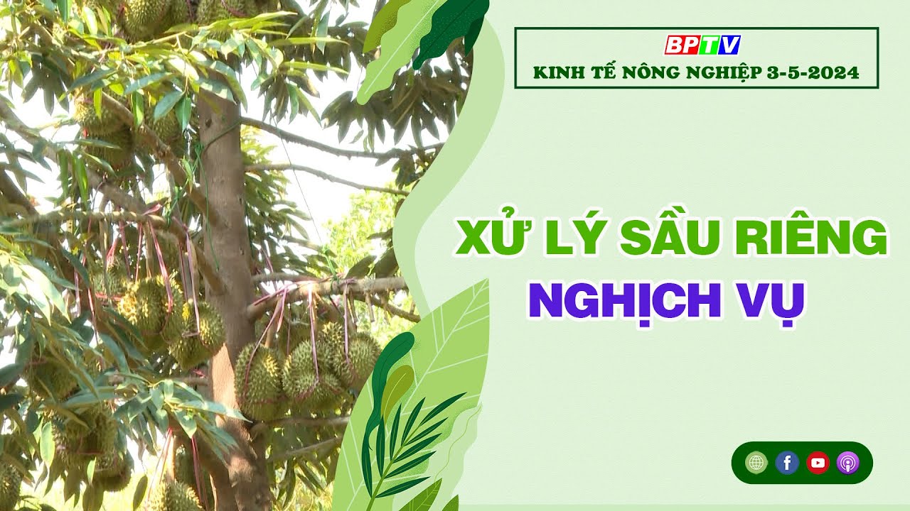 🔴 [Trực tiếp] Kinh tế nông nghiệp 3-5-2024|Thông tin hữu ích ||BPTV