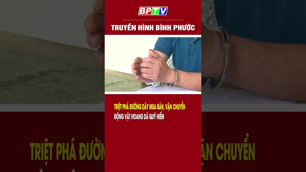 Triệt phá đường dây mua bán, vận chuyển động vật hoang dã quý hiếm #shorts  | BPTV