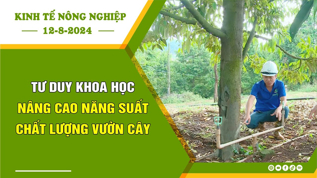 🍀Kinh tế nông nghiệp 12-8-2024 | Thông tin hữu ích | BPTV