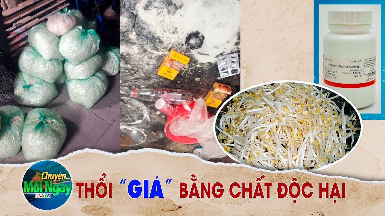 CHUYỆN MỖI NGÀY 10-1-2024 |Tin nóng cho bạn ||BPTV