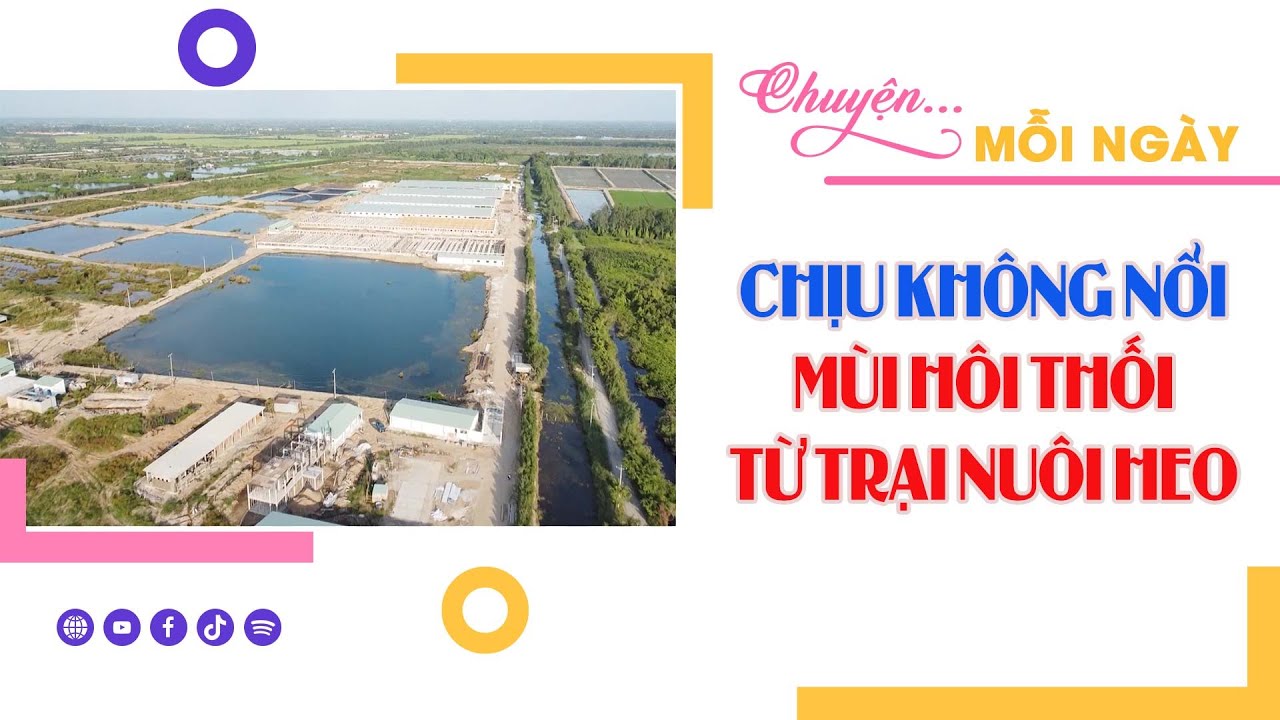 CHUYỆN MỖI NGÀY 11-1-2024 |Tin nóng cho bạn ||BPTV