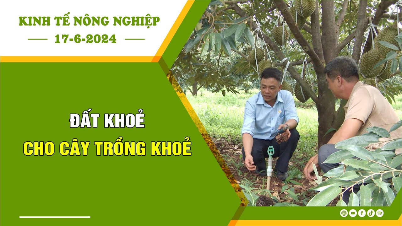 🍀Kinh tế nông nghiệp 17-6-2024 | Thông tin hữu ích | BPTV