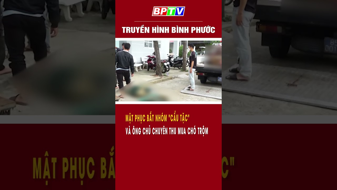 Bắt nhóm "cẩu tặc"  và ông chủ chuyên thu mua chó trộm #shorts  | BPTV