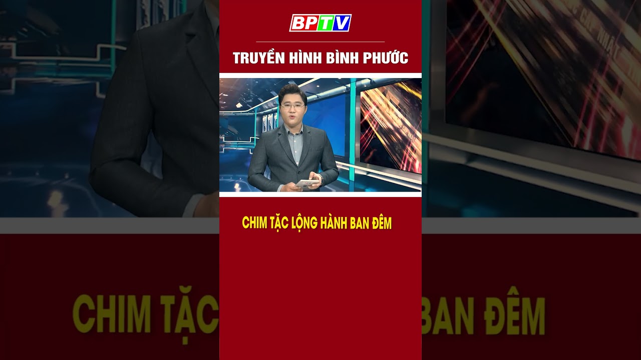 Chim tặc lộng hành ban đêm #shorts  | BPTV