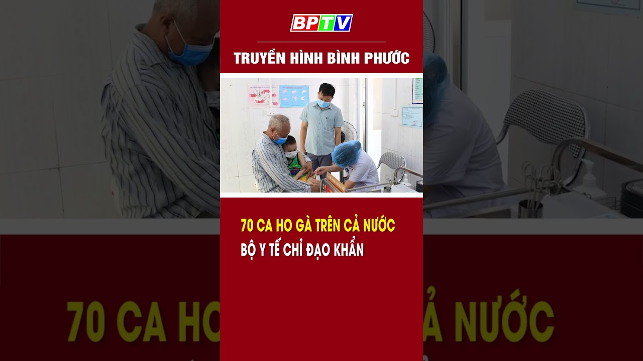 70 ca ho gà trên cả nước, Bộ Y tế chỉ đạo khẩn #shorts  | BPTV