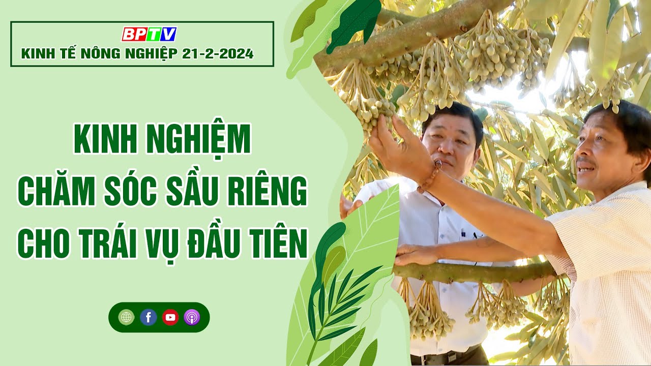 Kinh tế nông nghiệp 21-2-2024 |Thông tin hữu ích ||BPTV