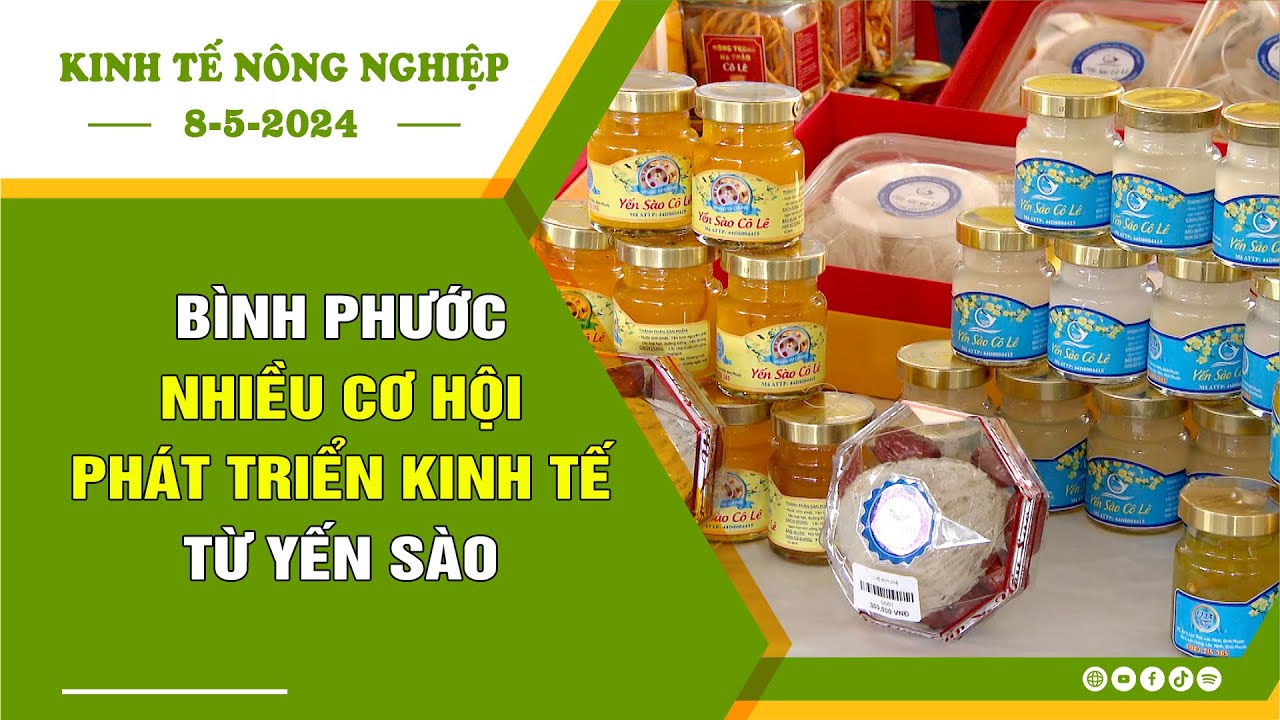 🍀Kinh tế nông nghiệp 8-5-2024 | Thông tin hữu ích | BPTV