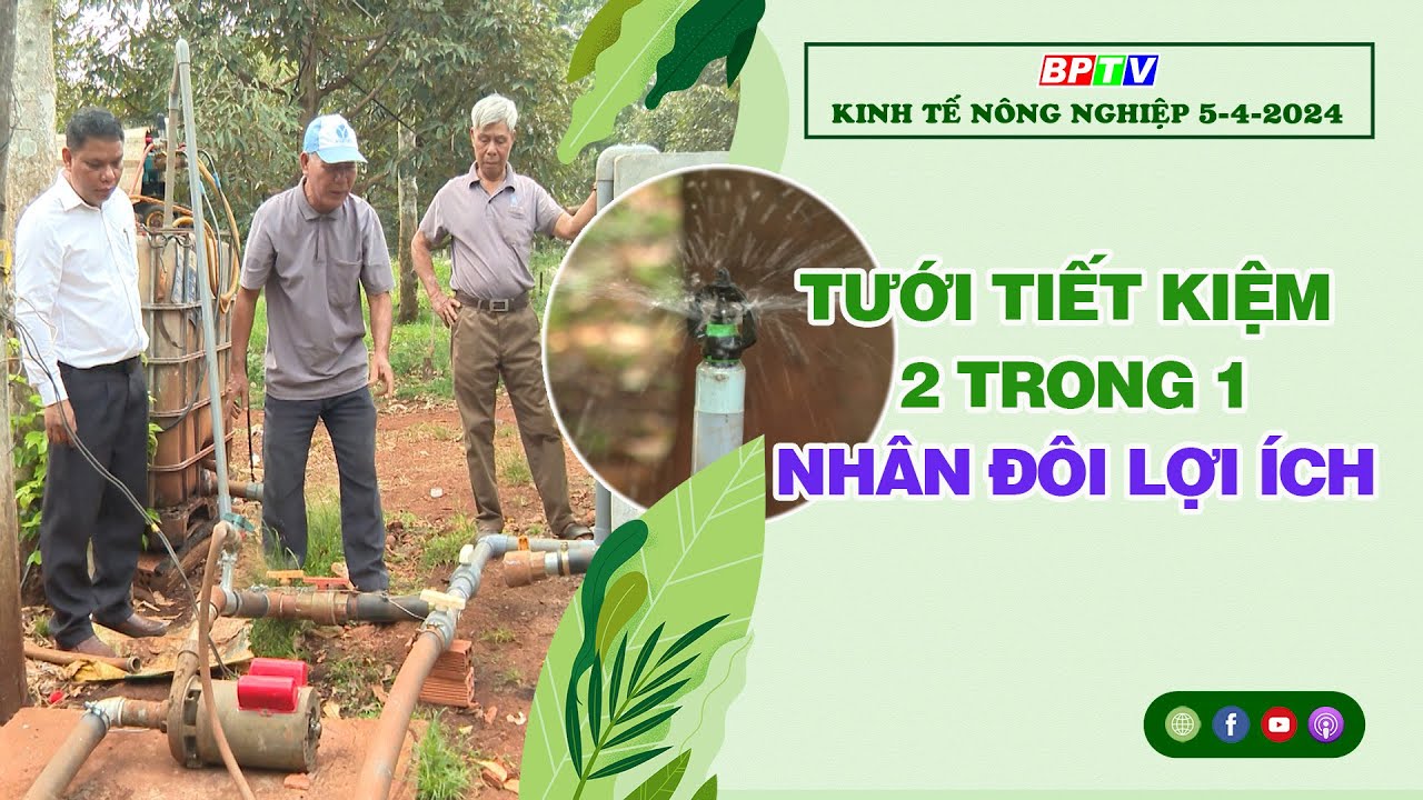 🔴 Kinh tế nông nghiệp 5-4-2024|Thông tin hữu ích ||BPTV