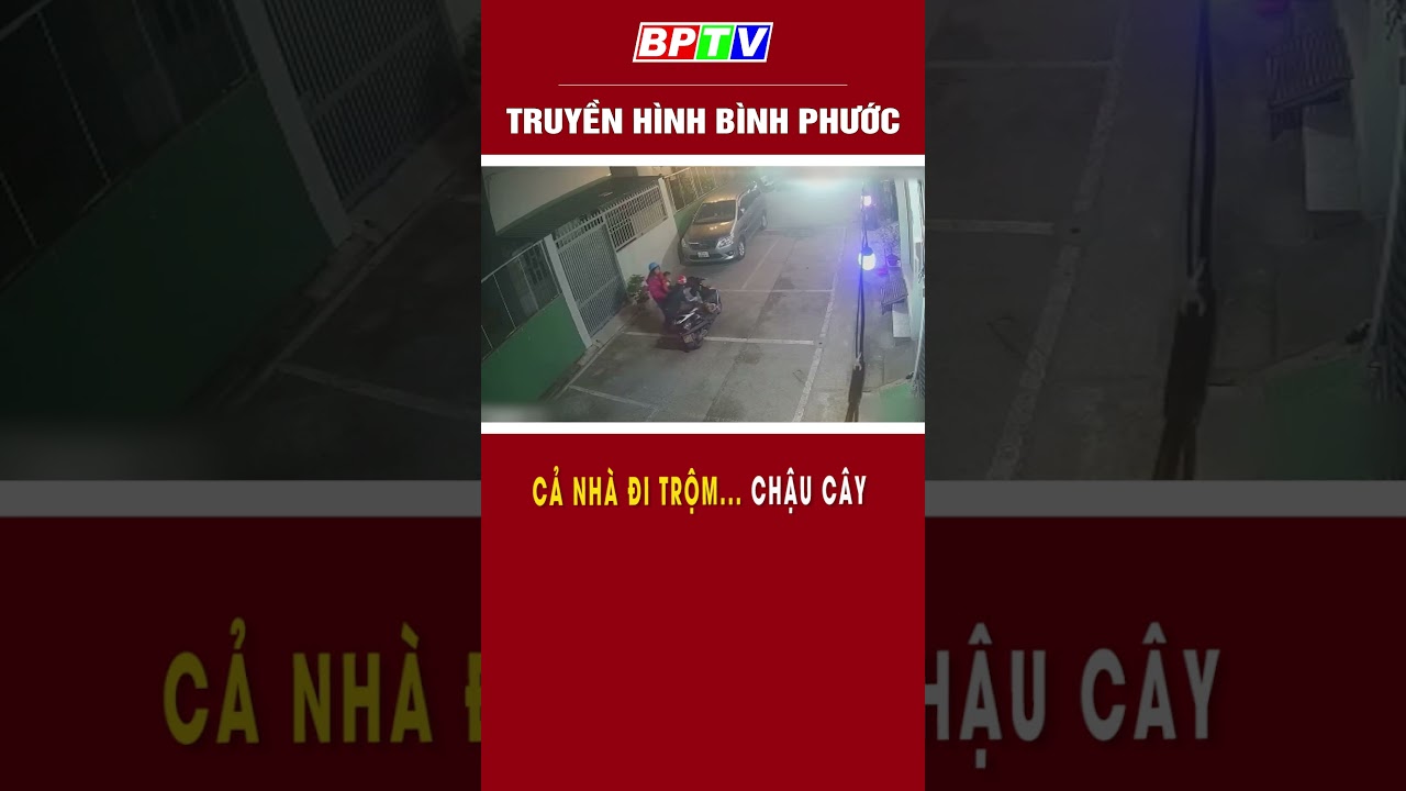 Cả nhà đi trộm… chậu cây #shorts | BPTV