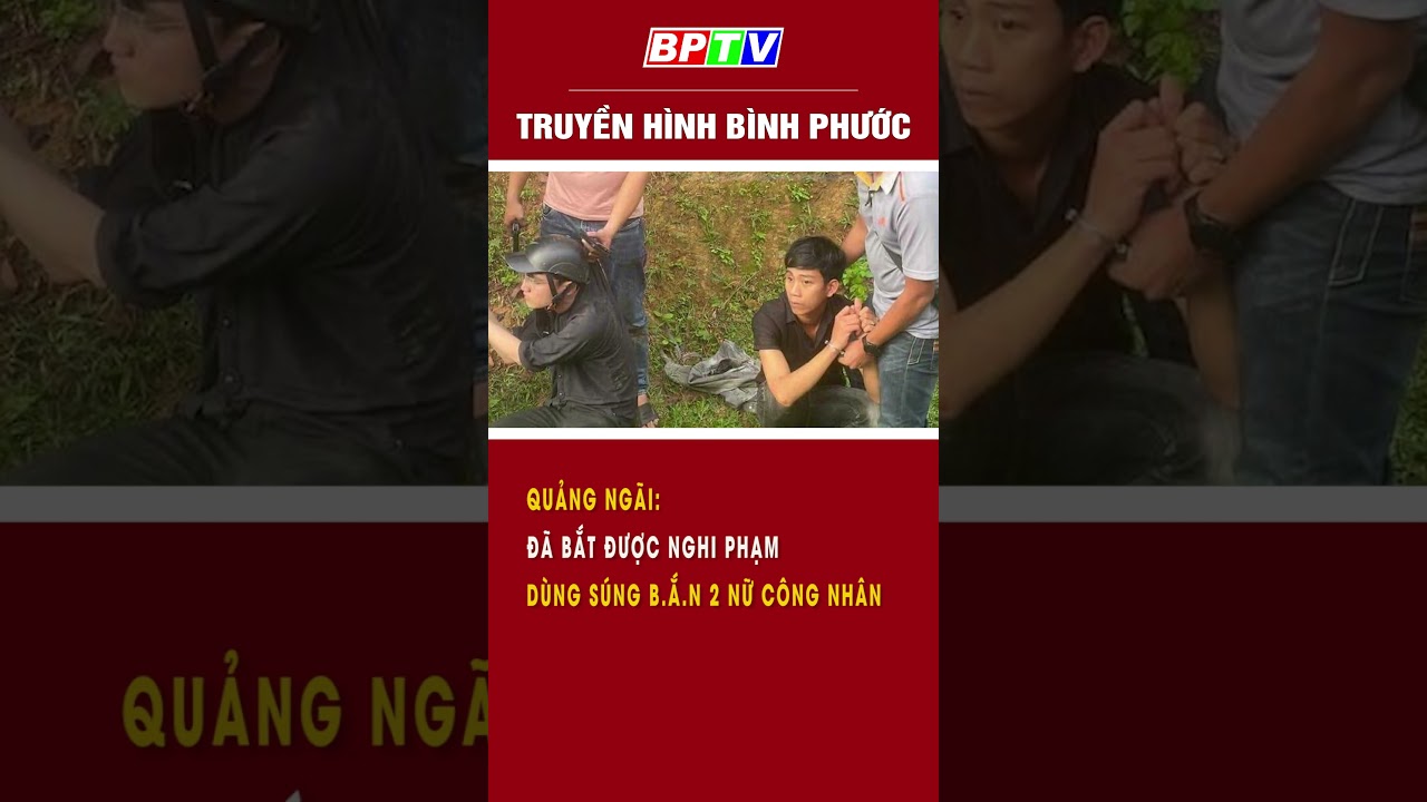 Quảng Ngãi: Đã bắt được nghi phạm b.ắ.n 2 nữ công nhân   #summerofshorts #mcvshorts  | BPTV