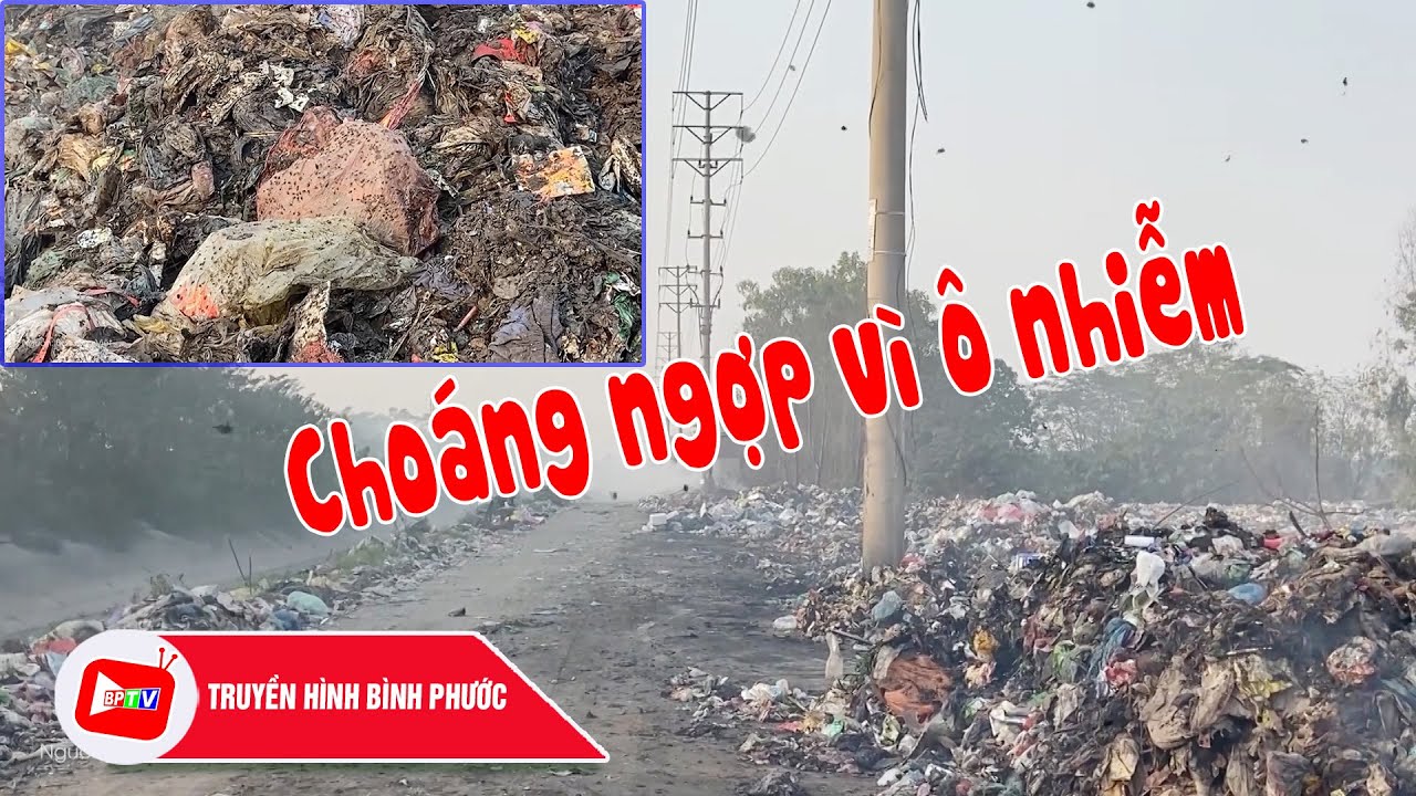 CHUYỆN MỖI NGÀY 8-1-2024 |Tin nóng cho bạn ||BPTV