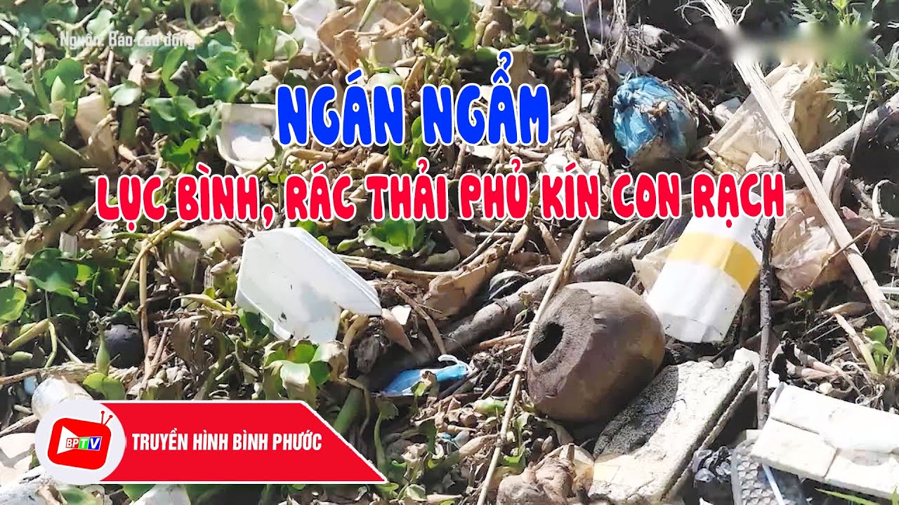 CHUYỆN MỖI NGÀY 1-5-2024 |Tin nóng cho bạn ||BPTV