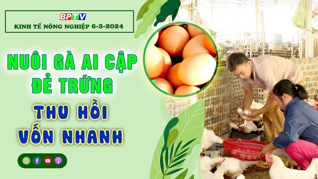 Kinh tế nông nghiệp 6-3-2024 |Thông tin hữu ích ||BPTV