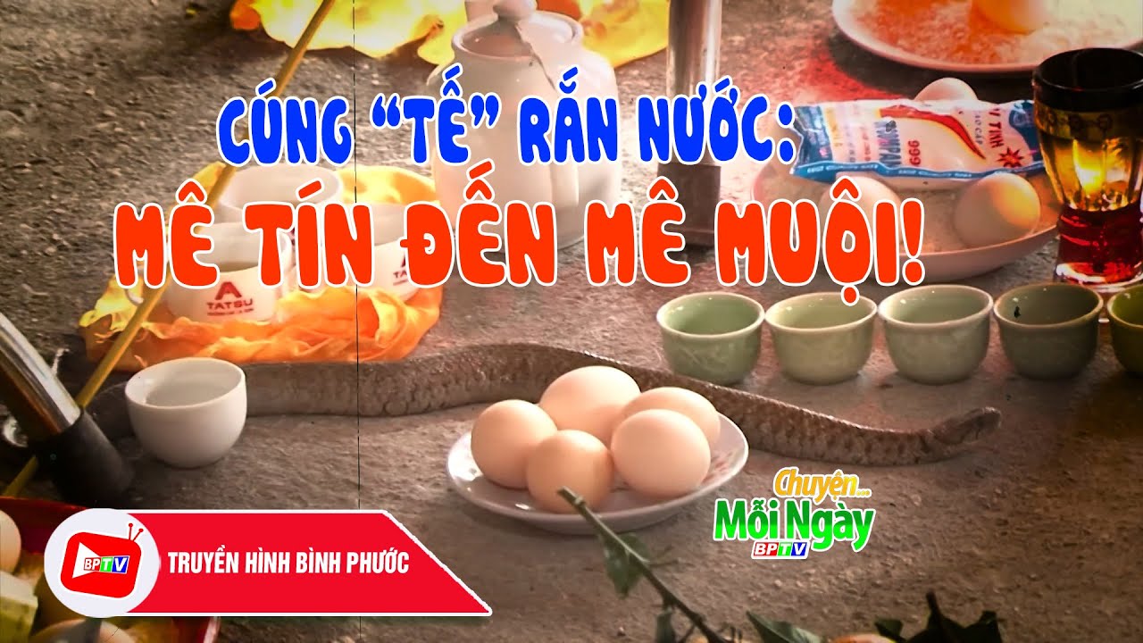 CHUYỆN MỖI NGÀY 8-3-2024 |Tin nóng cho bạn ||BPTV