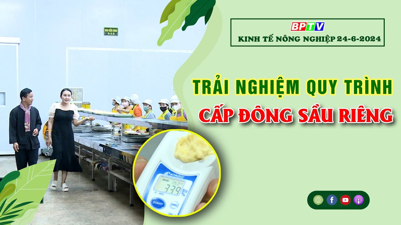 Kinh tế nông nghiệp 24-6-2024 |Thông tin hữu ích ||BPTV